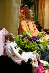 Jaya prabhupadas